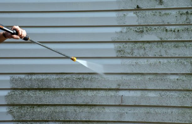 Best Roof Washing  in Bruce, MS